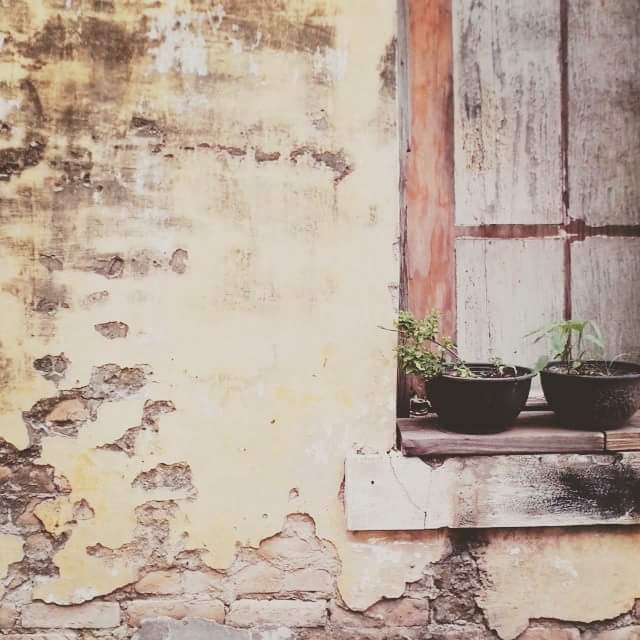 window