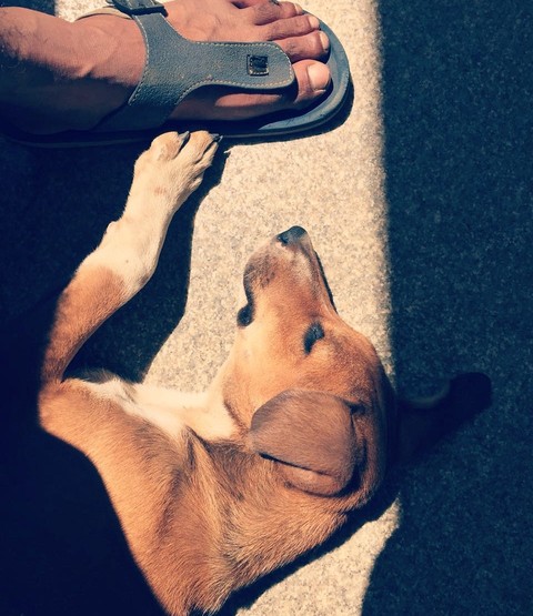 sleepy snOopy :)