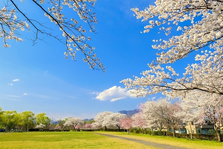 #Become ... #Spring