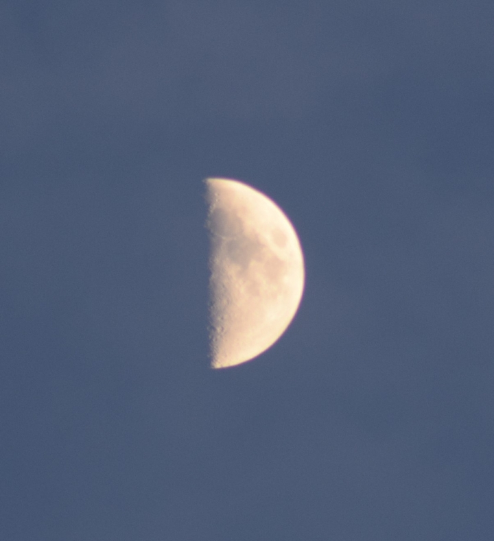Half moon