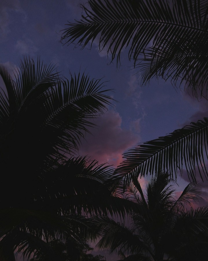 summer