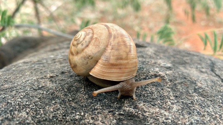 slow..and steady