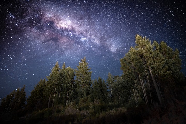 Stars