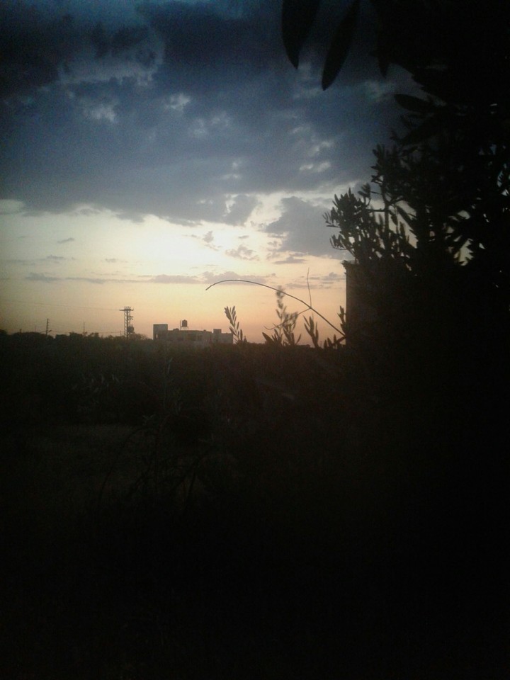 Sky