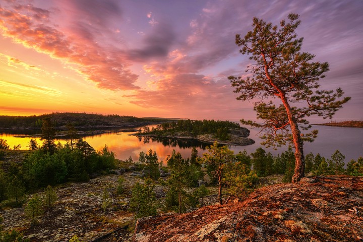 Pines above the lake