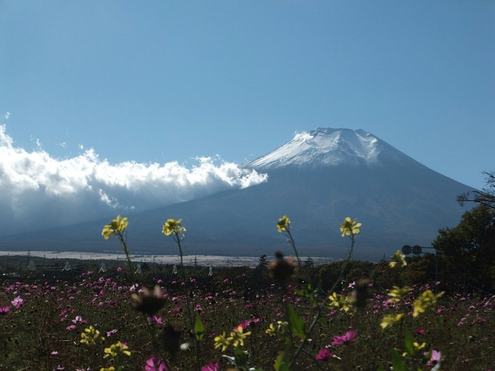 Mt. Fuji