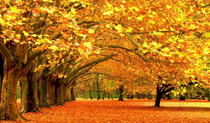 Autumn