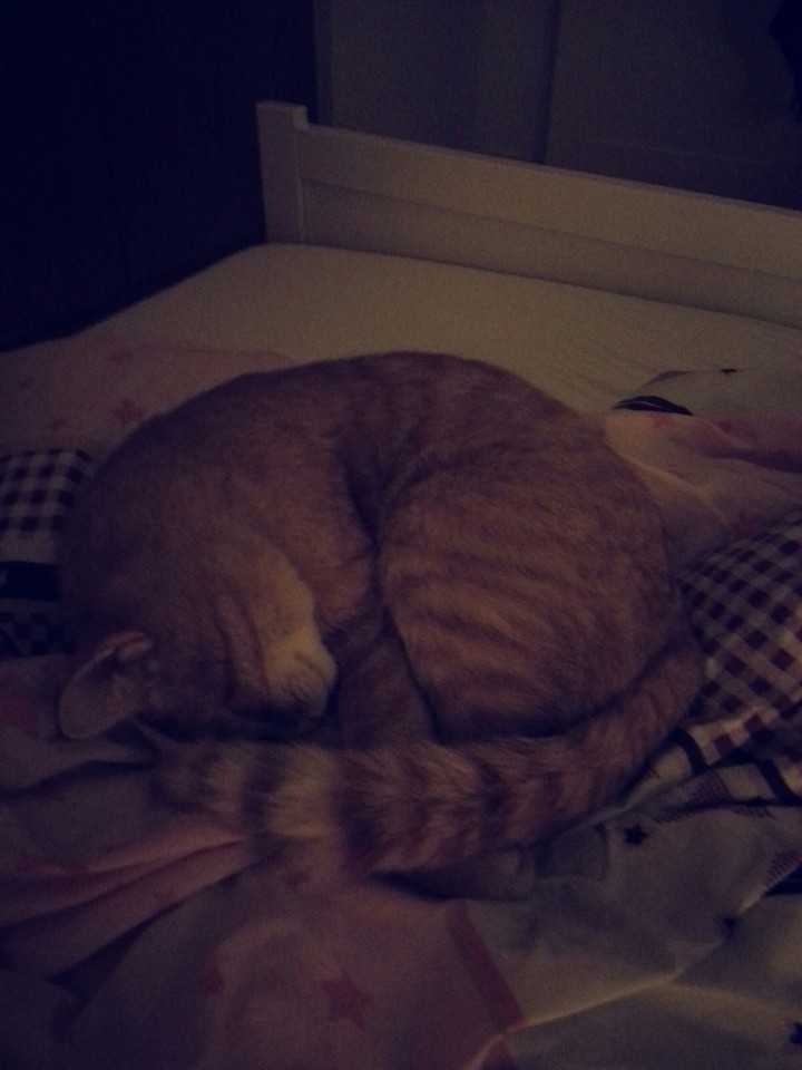 Catie♥♡