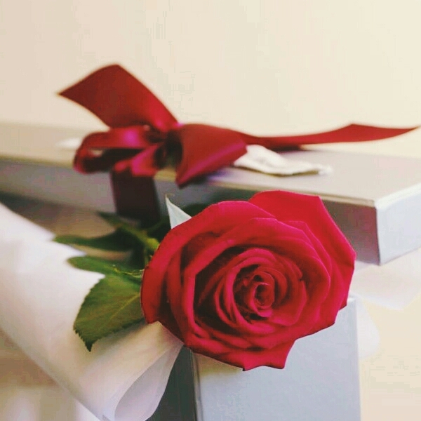 my gift.❤