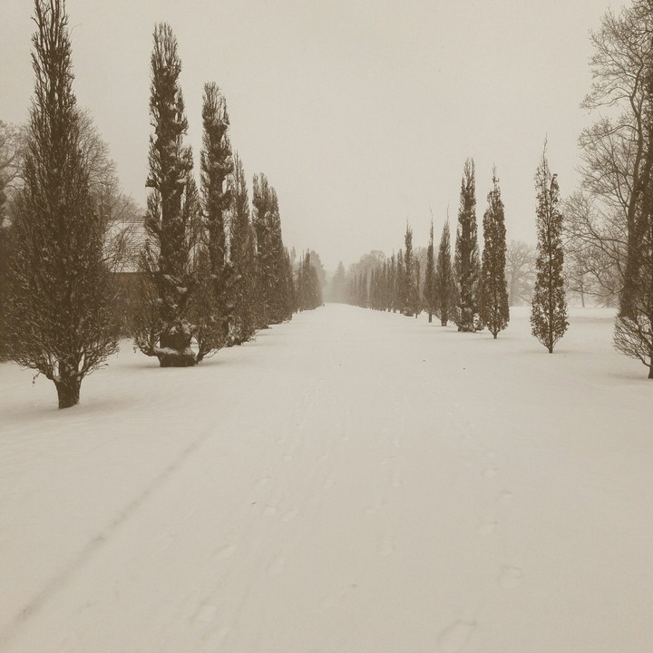Without End