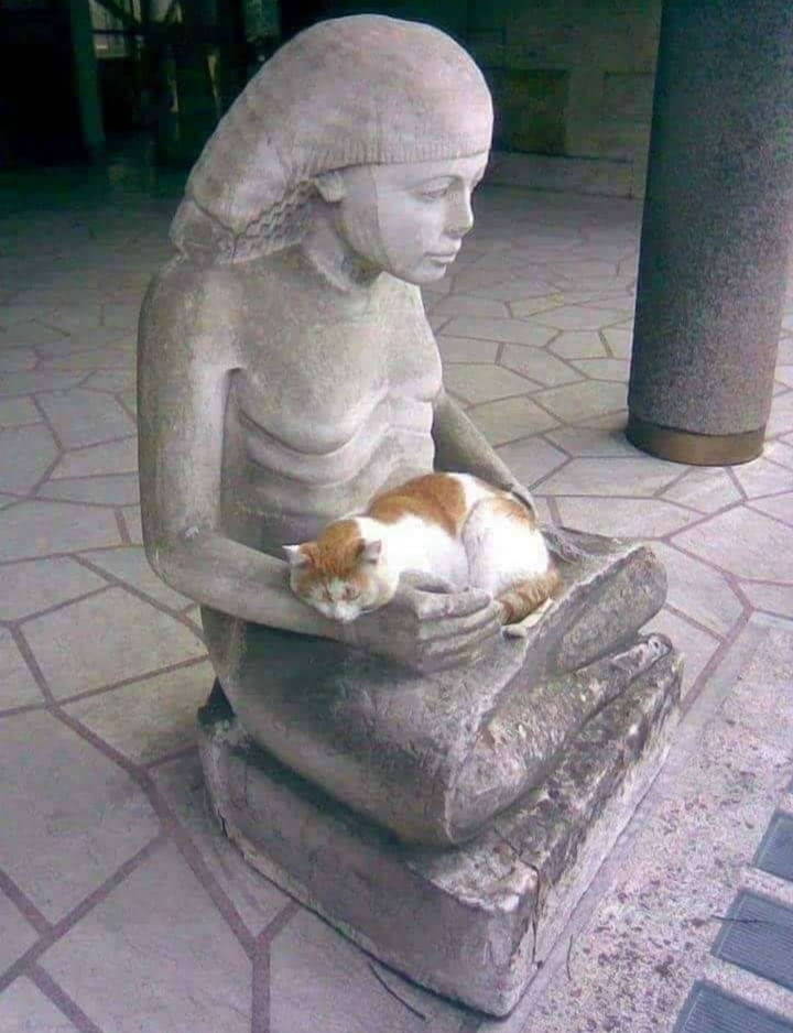 ..