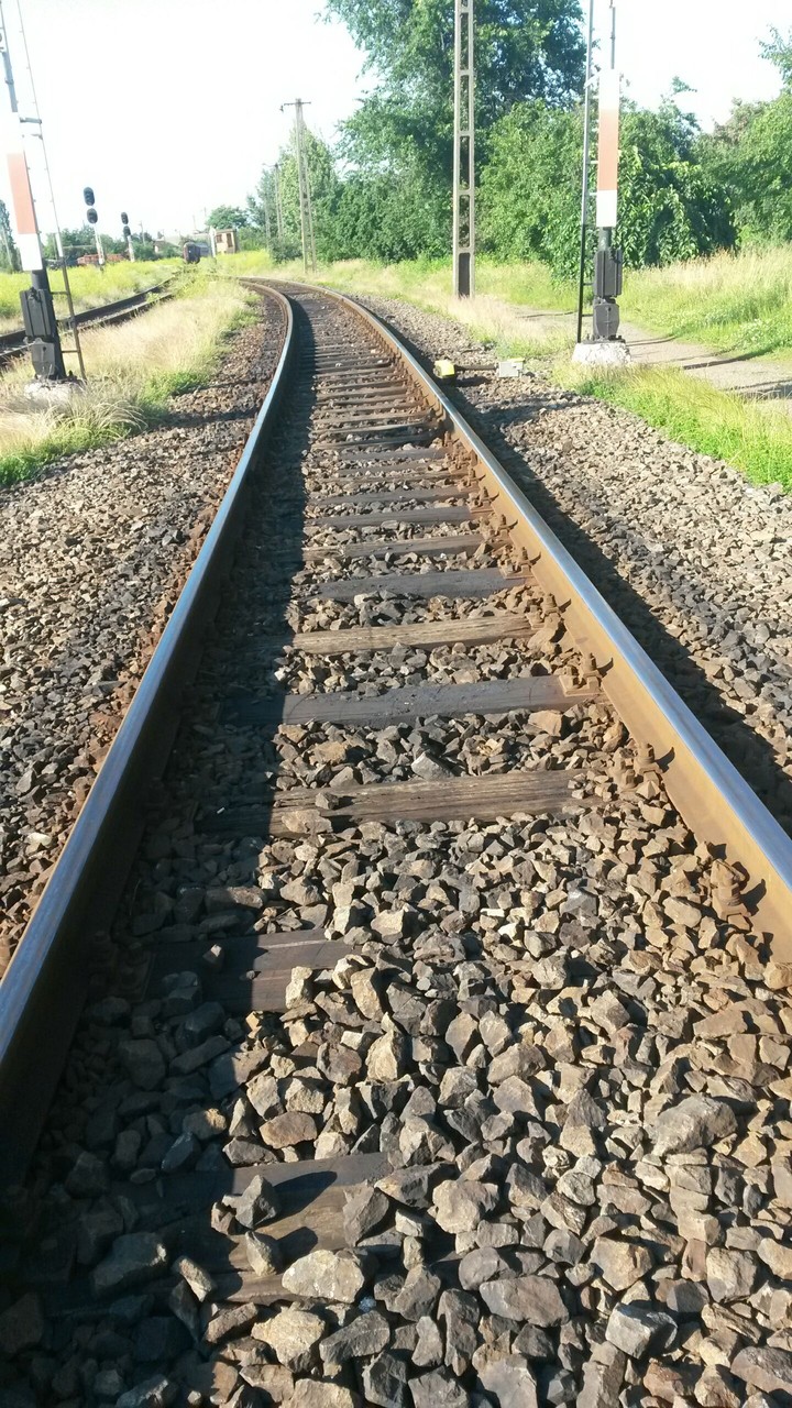 train