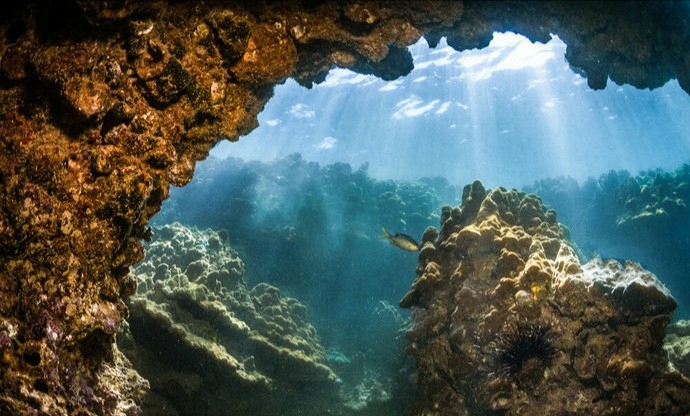 Persian Gulf. Bushehr