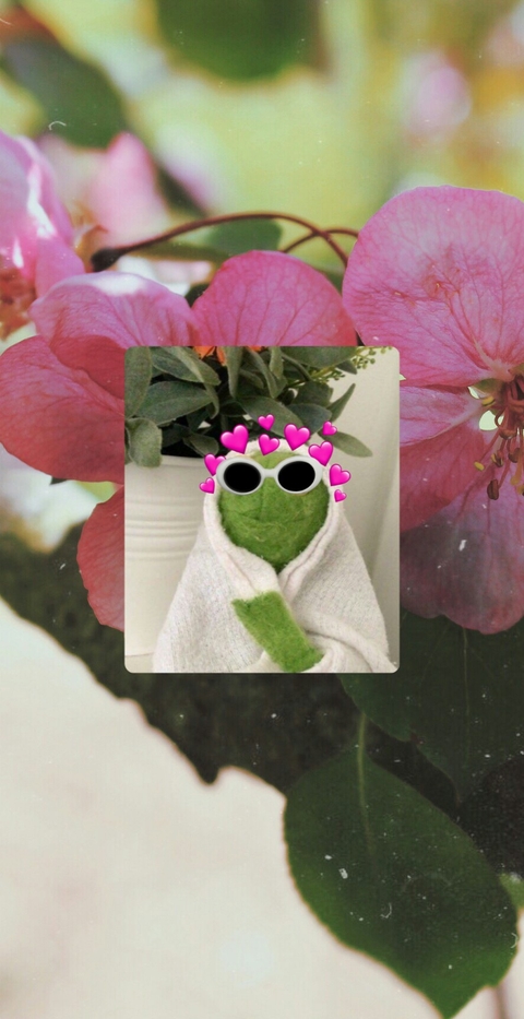 時尚, pink桌布