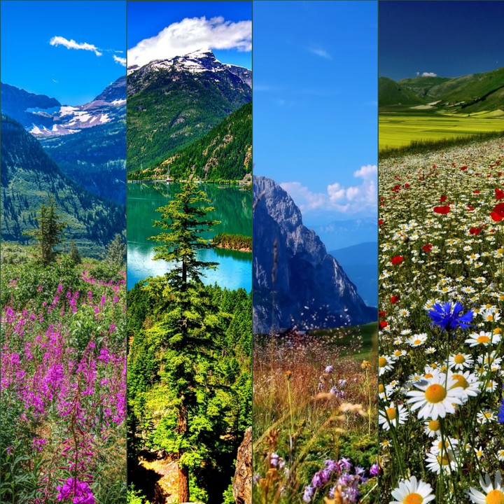 Nature's collage