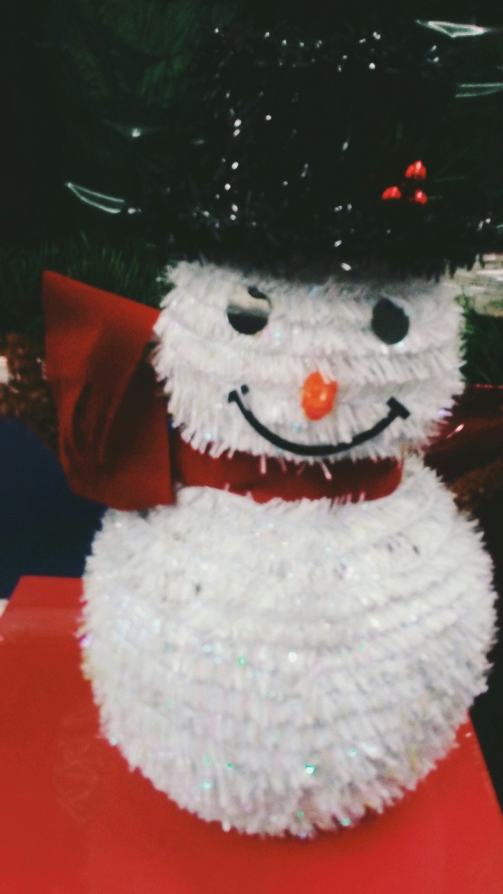 Winter Wonderland Snowman