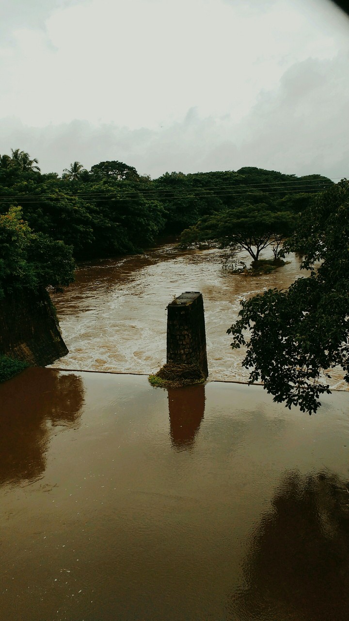 Flowing River