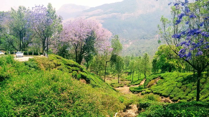 Nature