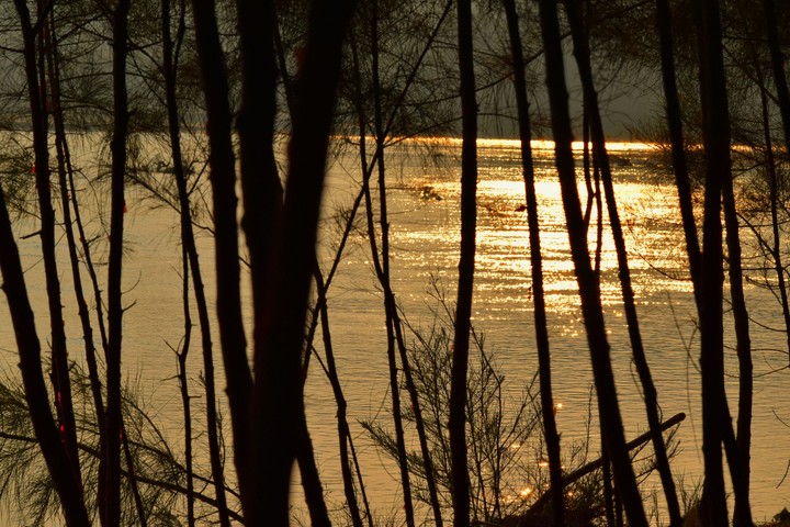 Riverside