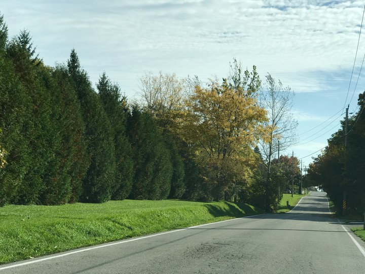 Road to ......