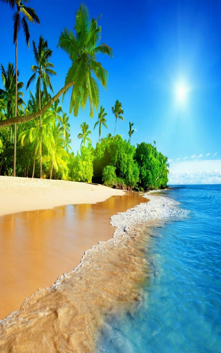 Tropical_Coast