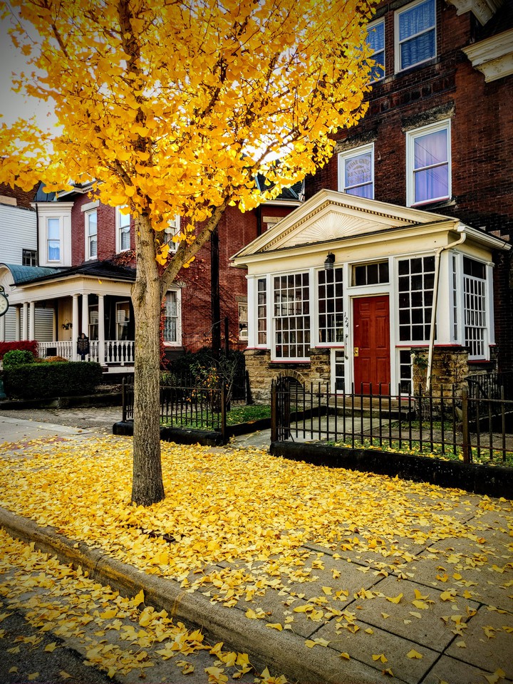 autumn