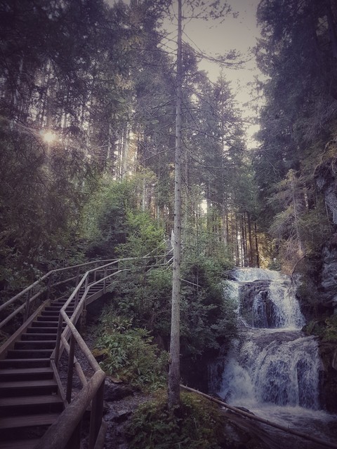waterfall in the Forrest