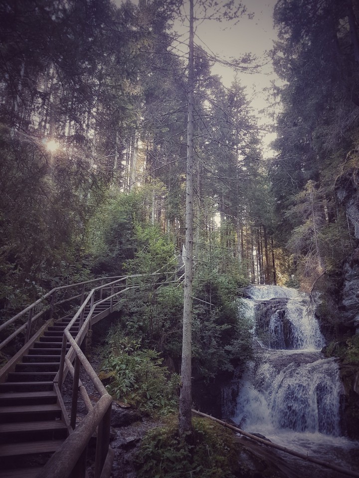 waterfall in the Forrest