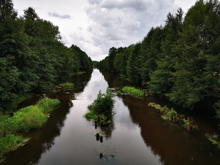 Nature