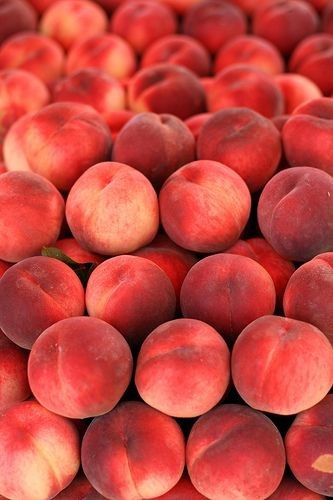 Apricot