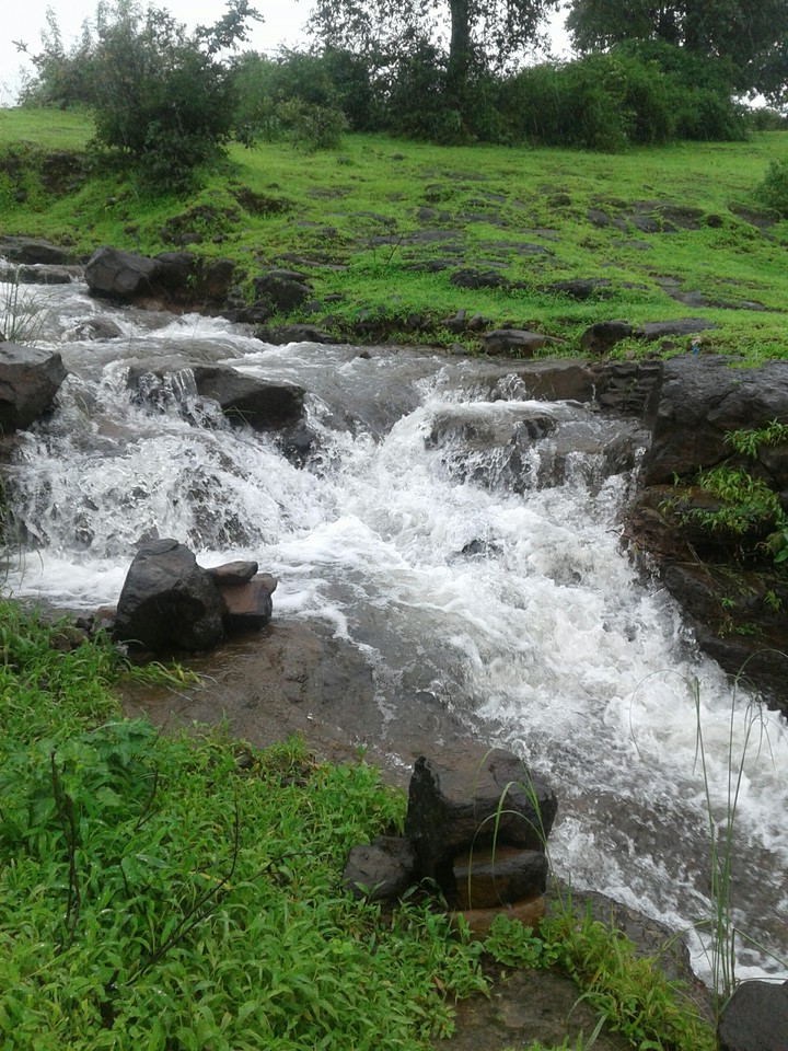 P M B nature image