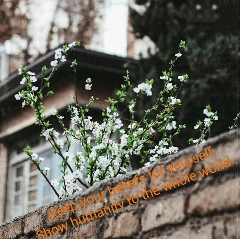 flora, flower वॉलपेपर