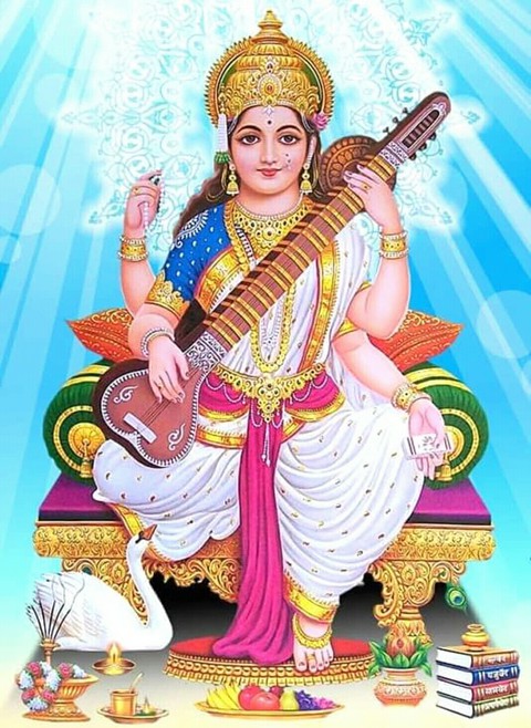 Maa