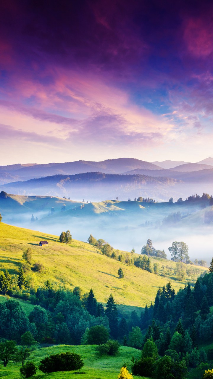 paysage