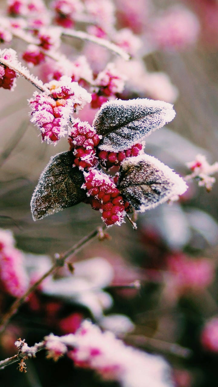 Warm in Winter