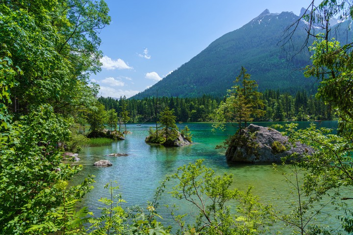 Nature