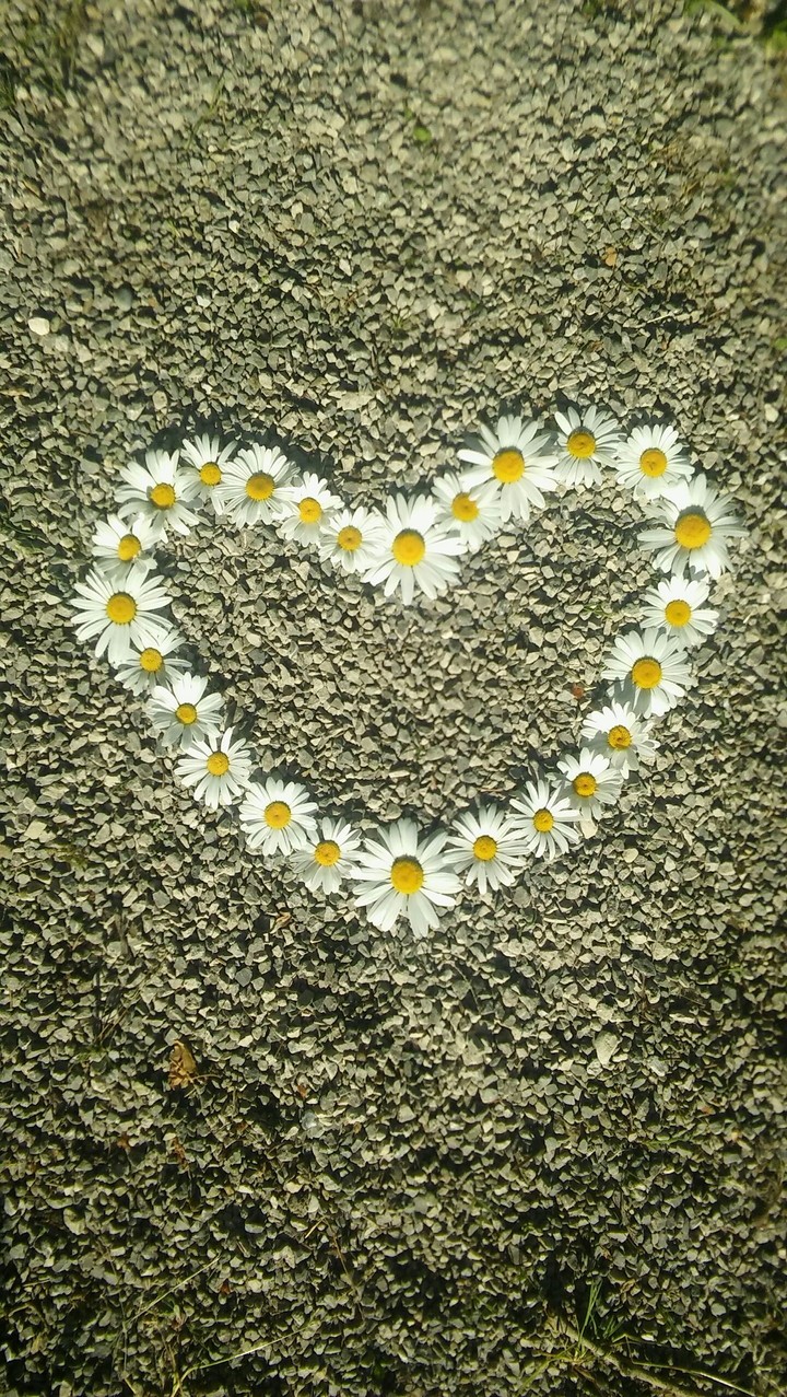 Blumenherz