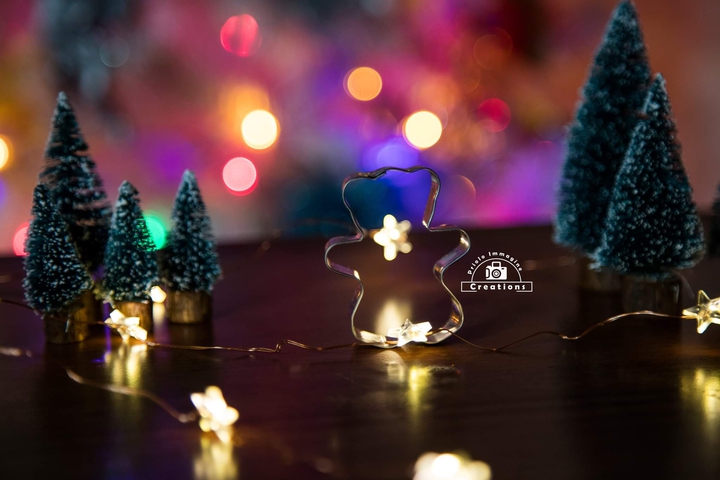 Christmas details