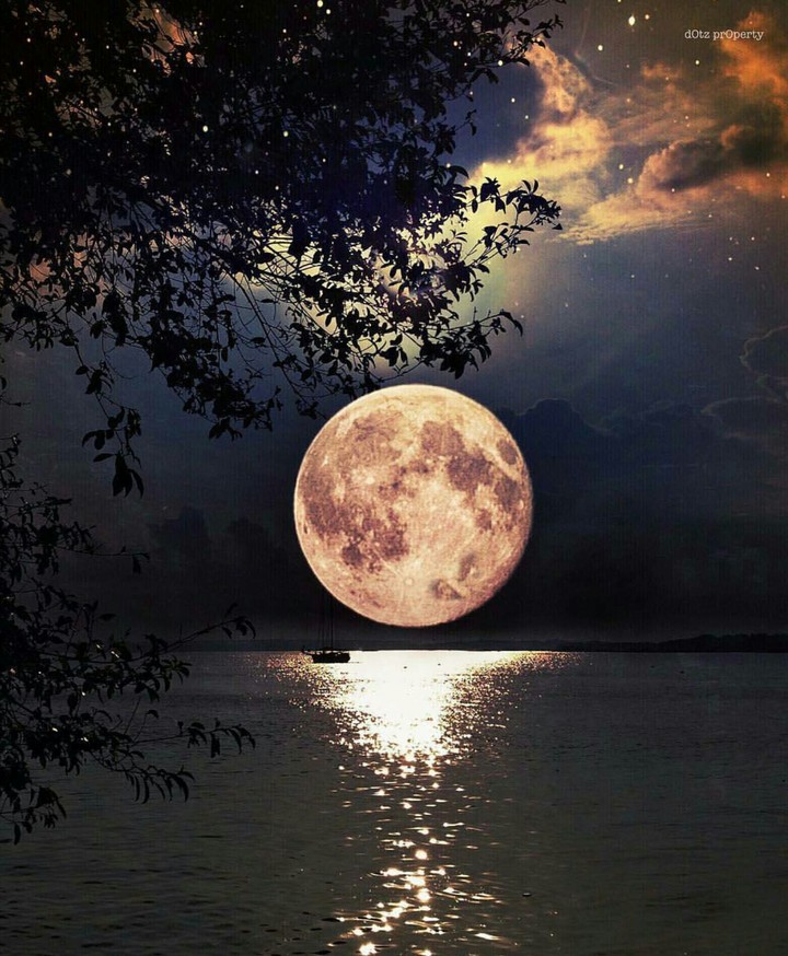 moonlight
