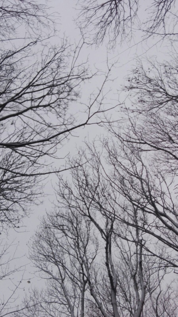 Winterwonderland