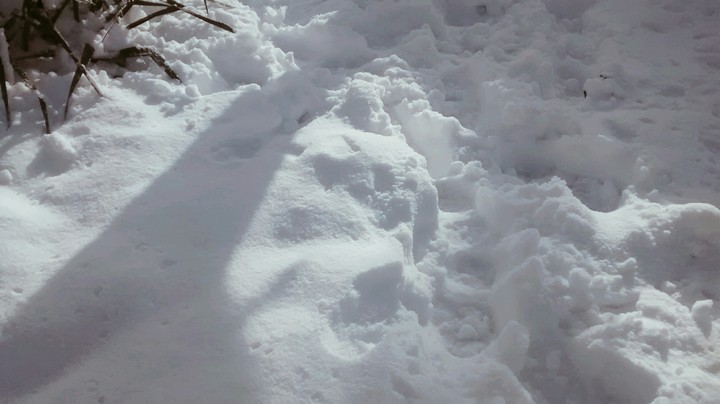 Snow