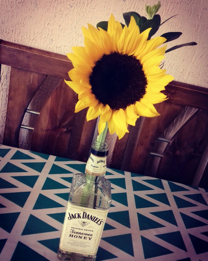 Girasol