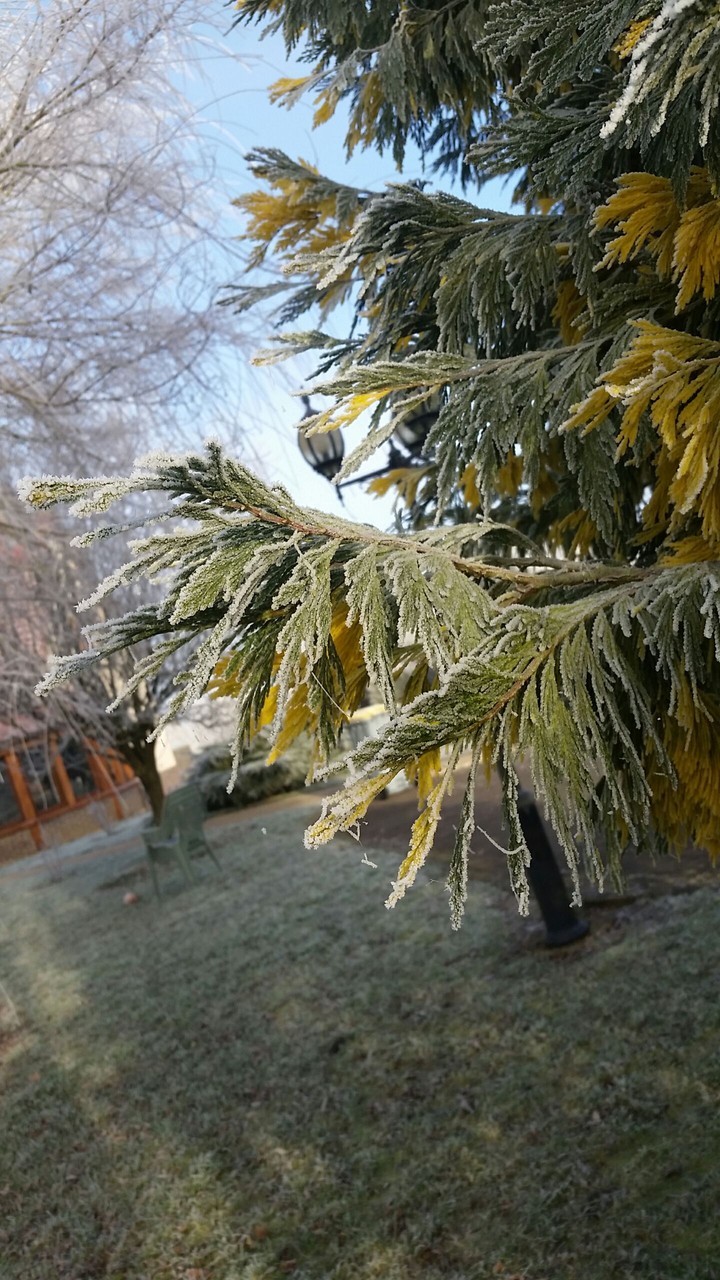 snow