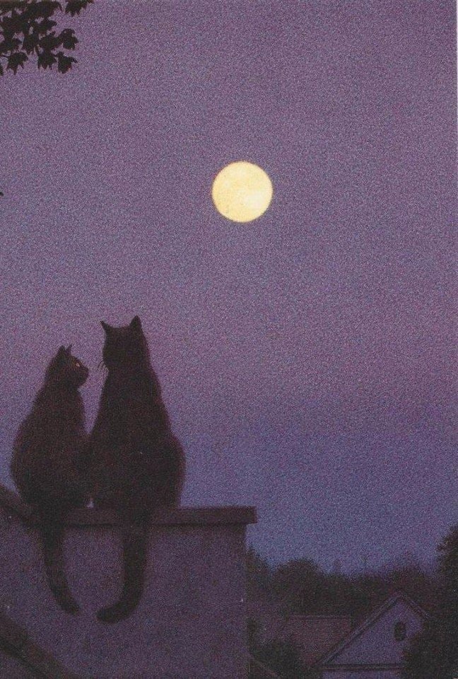 Xyдoжник Quint Buchholz