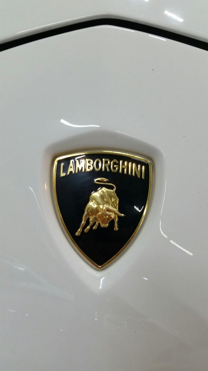 Lamborghini logo