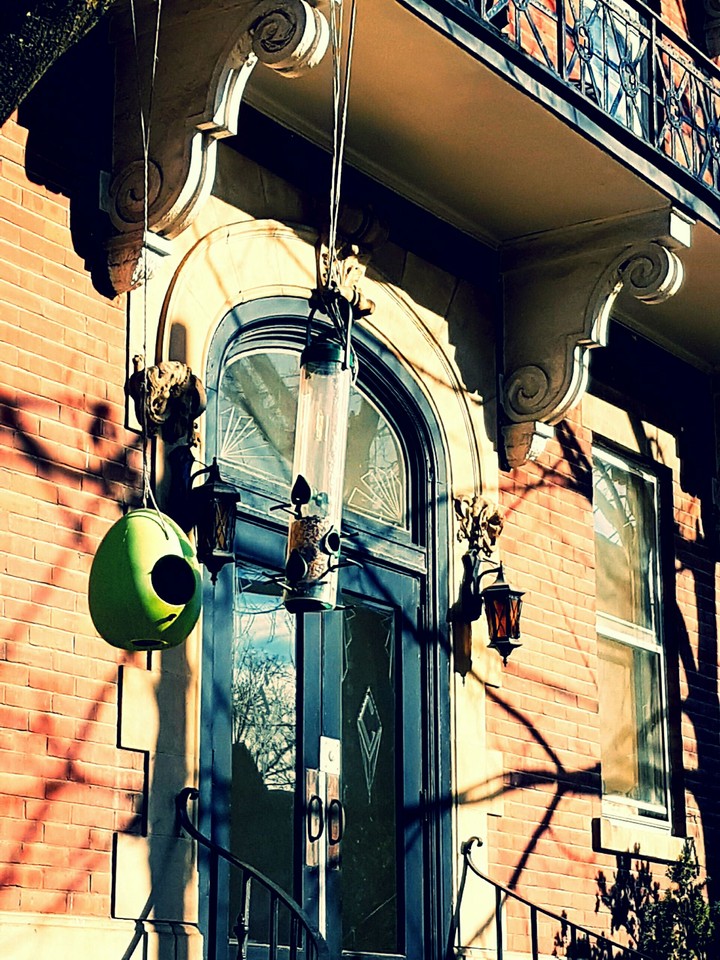 Bird Houses