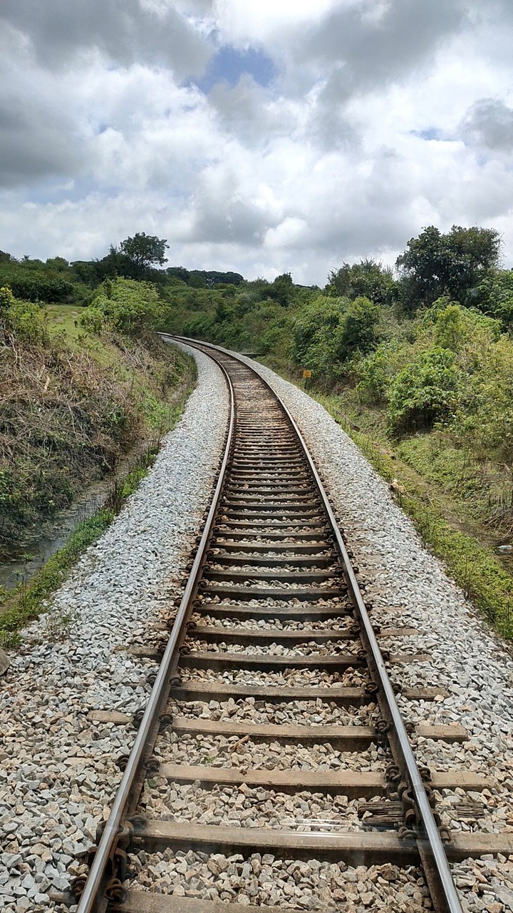 Path