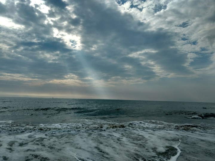 rays