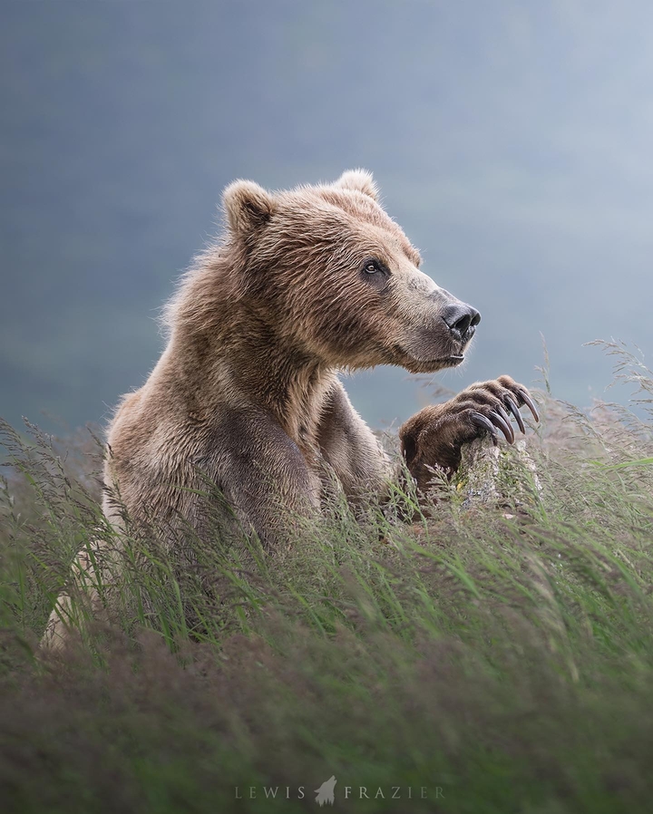 .