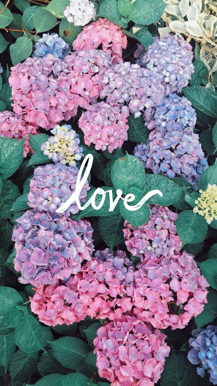 love